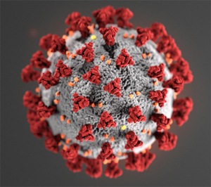 coronavirus coronovirus