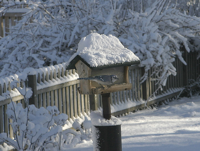 Look at the snow piled on the roof