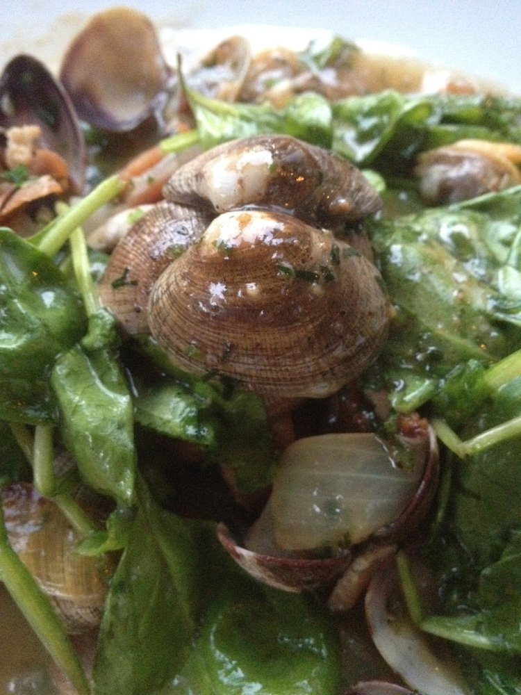 Clams and other goodness