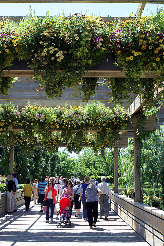 Mass of people; mass of flower boxes. Outstanding.