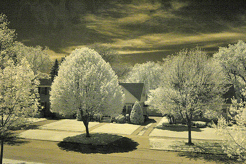 Looking west - infrared picture