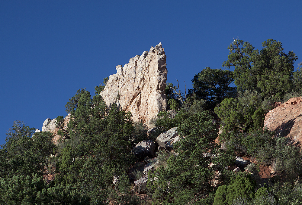 Outcrop of white (dolomite?) slowly eroding