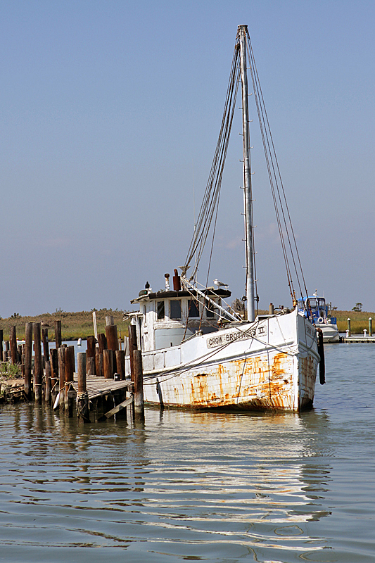 Knapp's Narrow Tilghman Island, MD