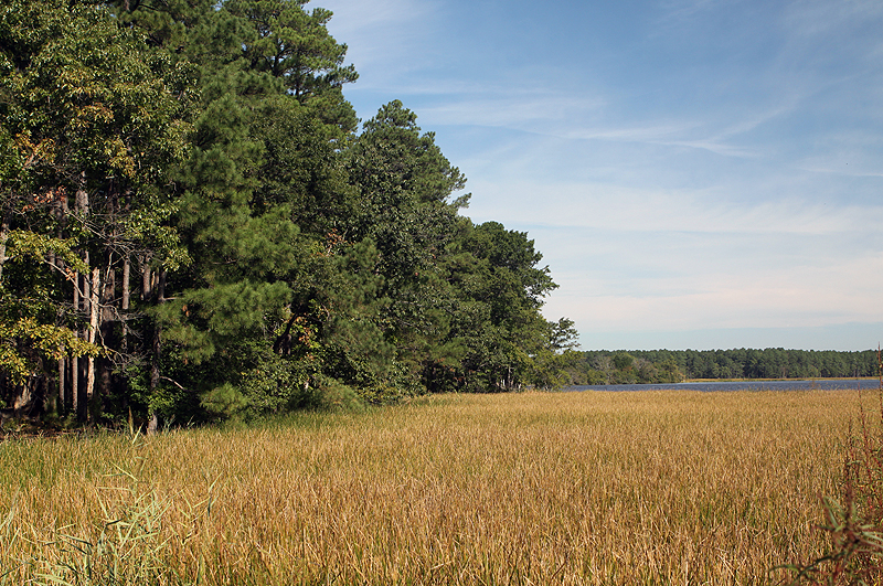 Blackwater National Wildlife Refuge, MD