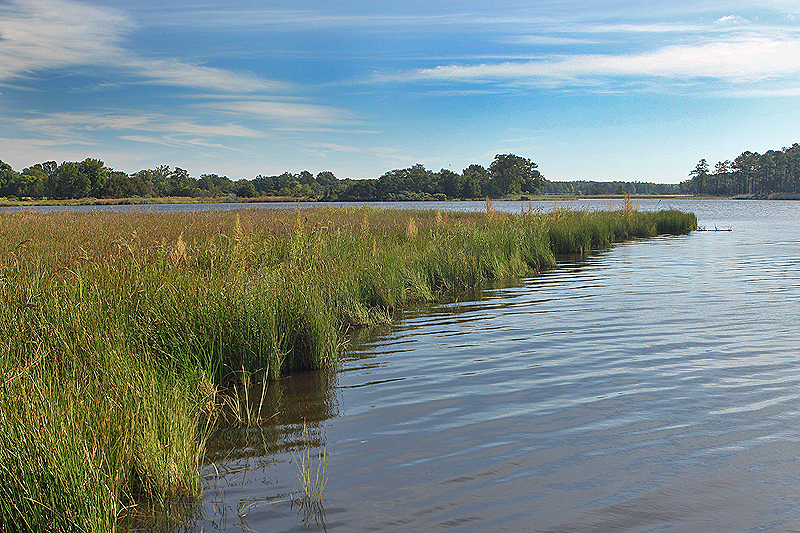 Blackwater National Wildlife Refuge, MD