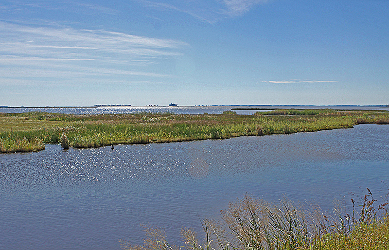 Blackwater National Wildlife Refuge, MD