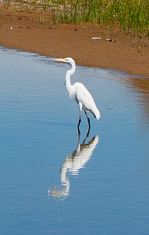 Blackwater National Wildlife Refuge, MD