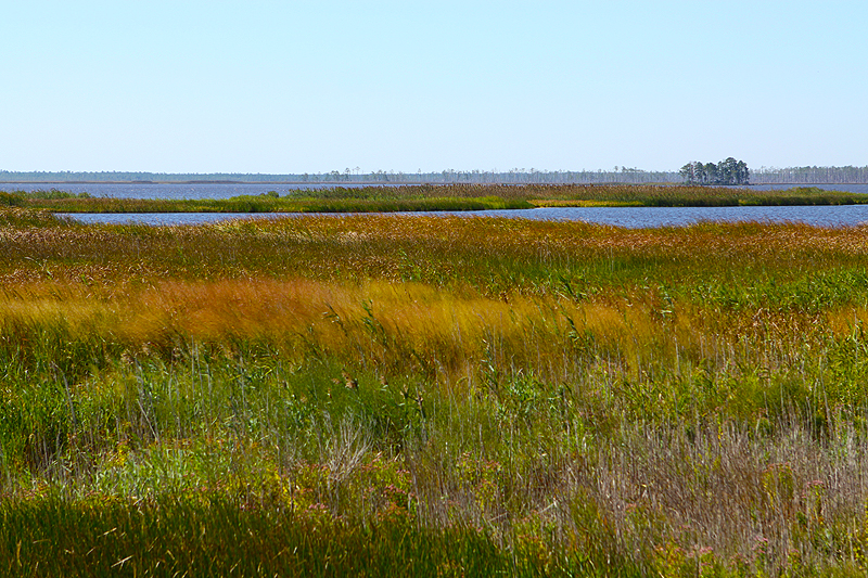 Chesapeake marshland - marsh grass; islands....