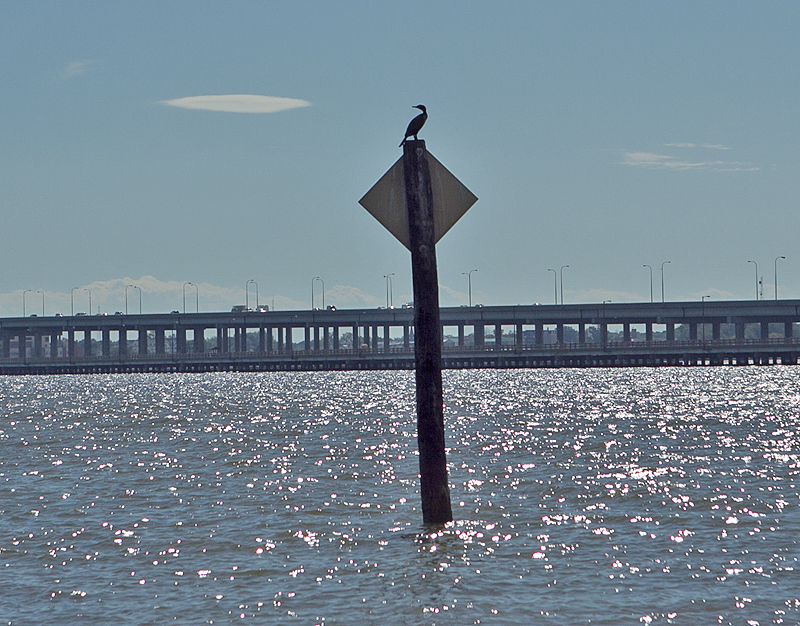 Bird on water sign - old and new bridges in background