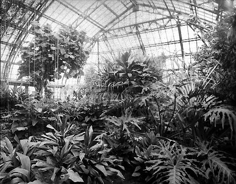 Garfield Park Conservatory, Chicago