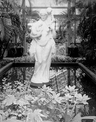 Garfield Park Conservatory, Chicago