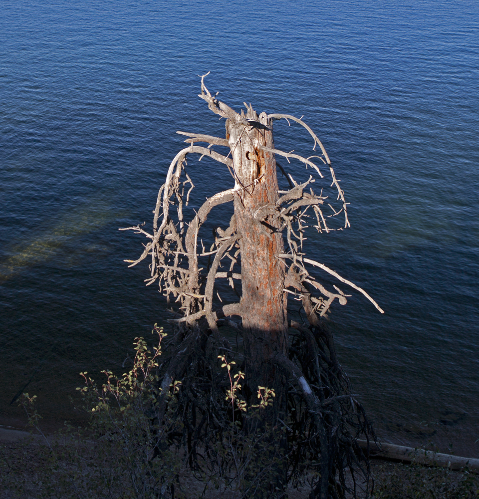 Tubbs Hill, Coeur d'Alene, ID