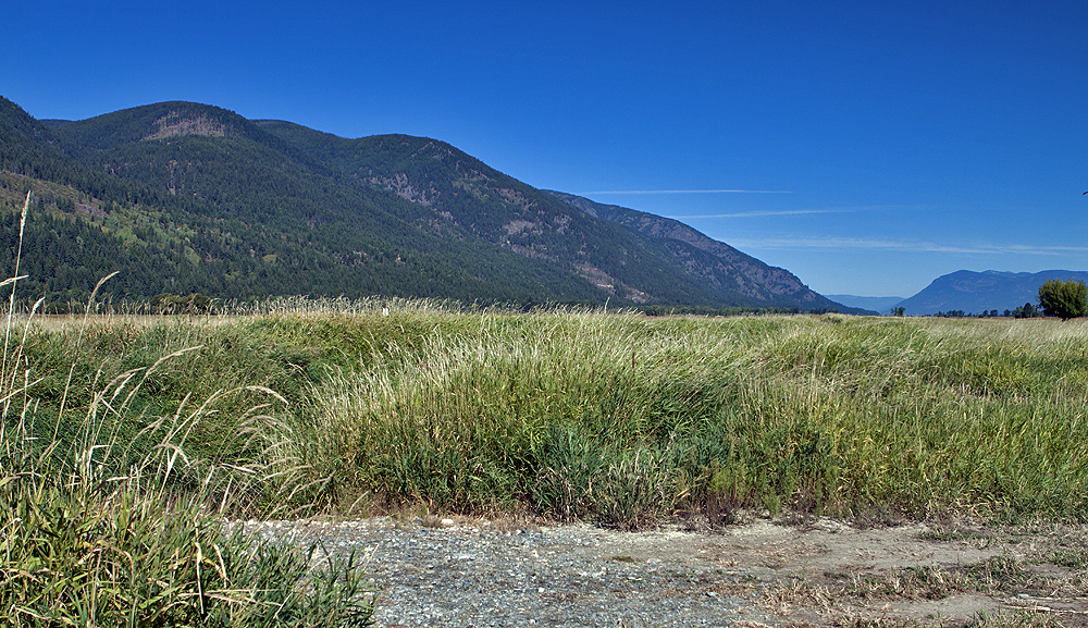 South of Bonners Springs, ID - This (un)marsh must be great in spring (bird migration)