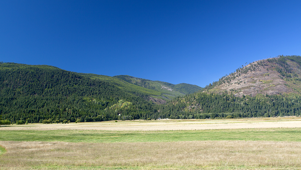 From marsh to foothills