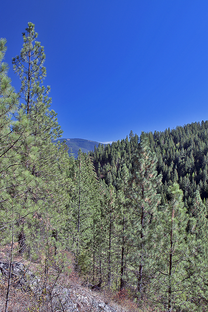 South of Bonners Springs, ID