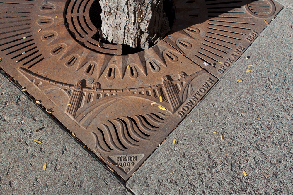 Tree grate, Spokane, WA