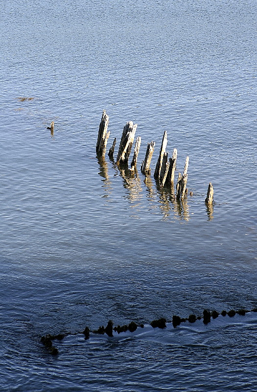 Old Pier Pilings