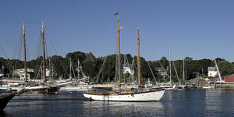 Lots of commercial and tourist ships