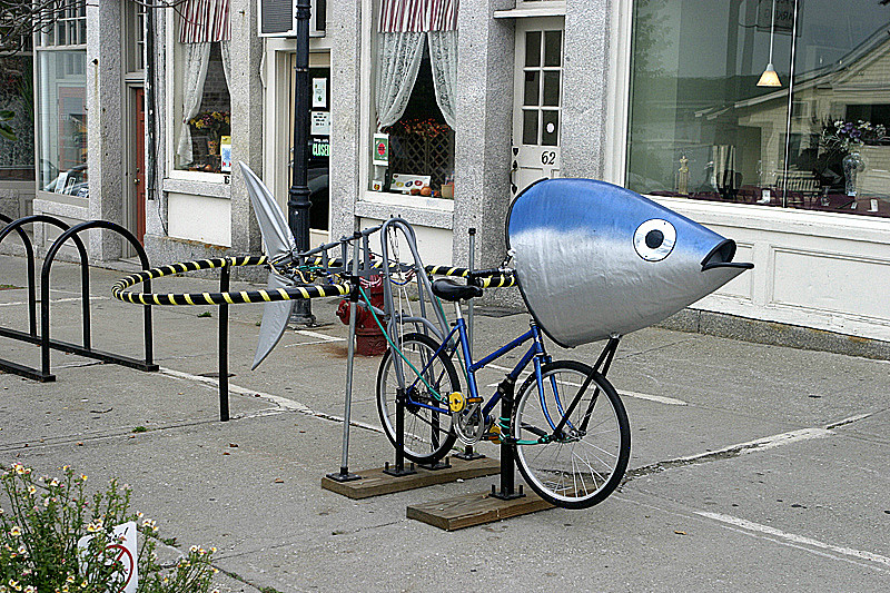 Fish Bike - why, I don
