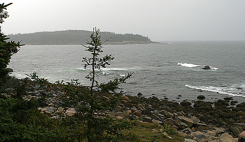 Acadia National Park, ME