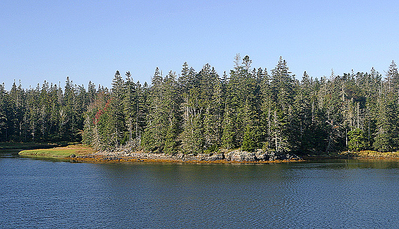 Acadia National Park, ME