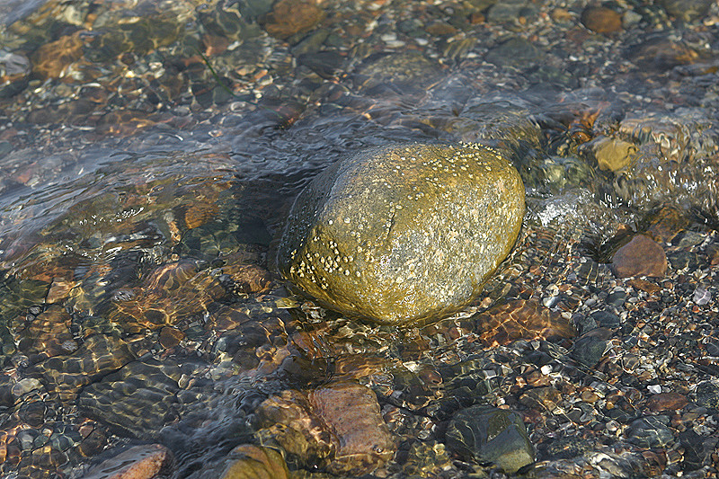 Rocks on sandbar