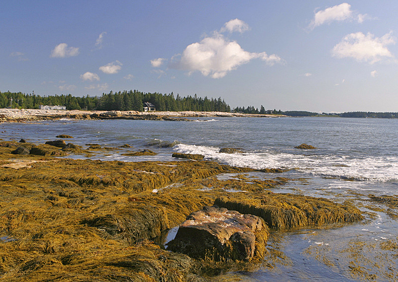 South end of Mount Desert Island, ME