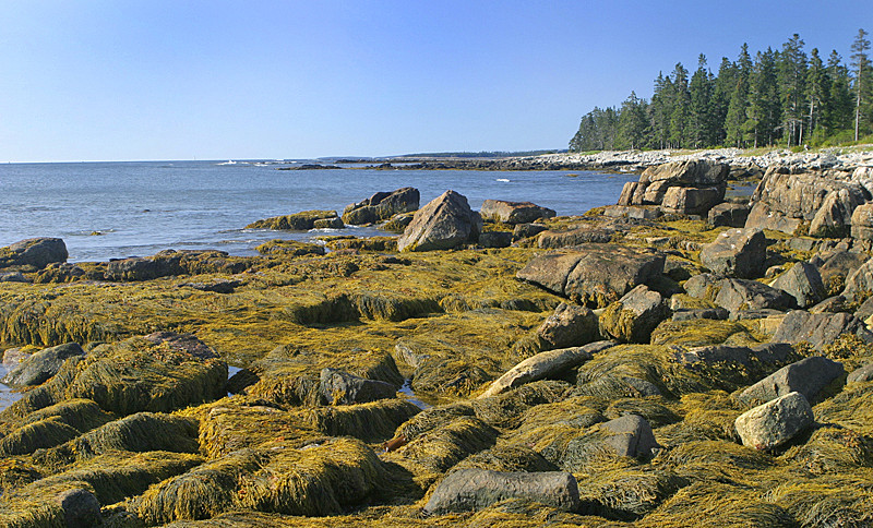 South end of Mount Desert Island, ME