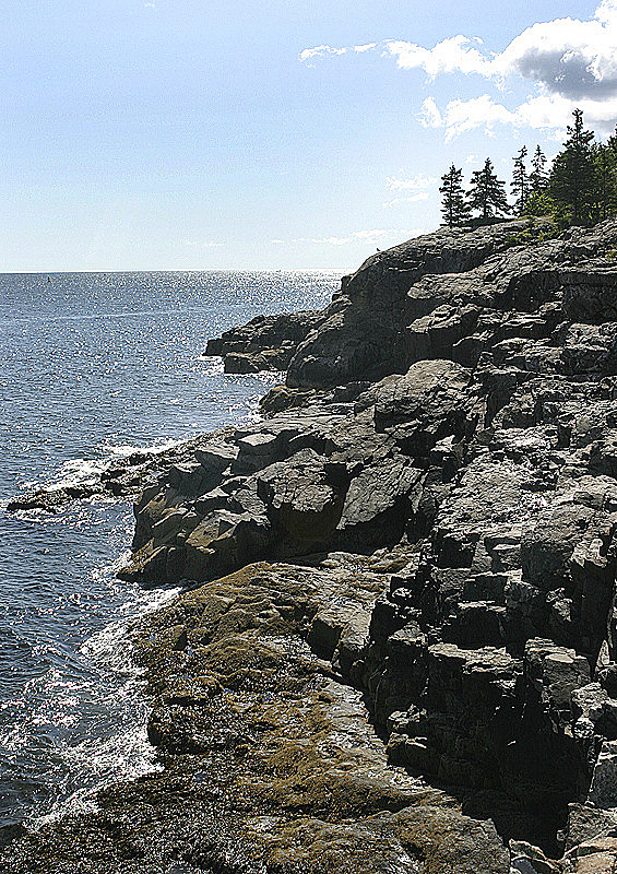 Looking SE along the Desert Island Coast