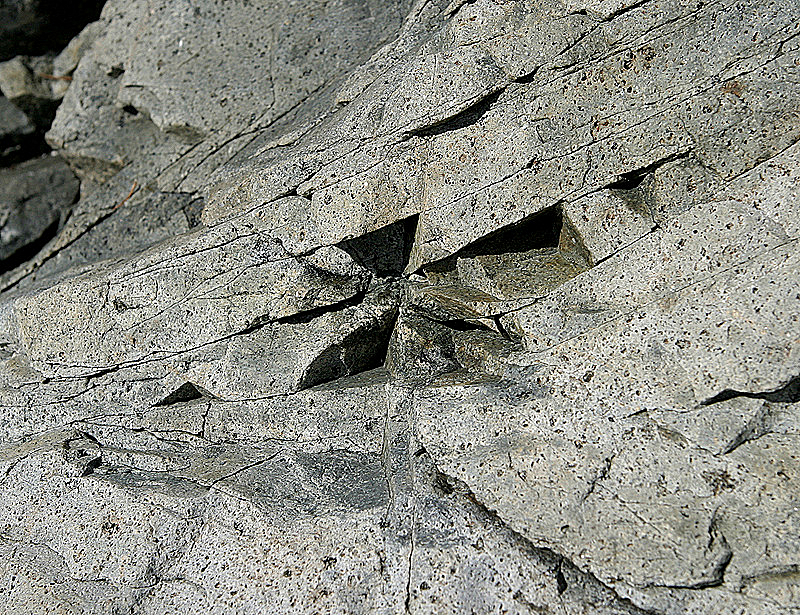 Coastal rock (limestone)