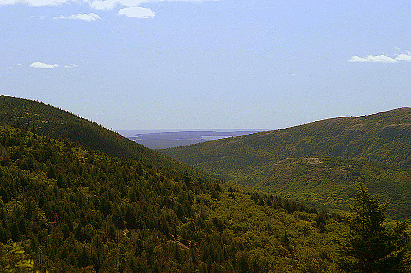 Looking SE along the Desert Island Coast