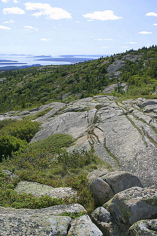 Looking south toward Cranberry Island