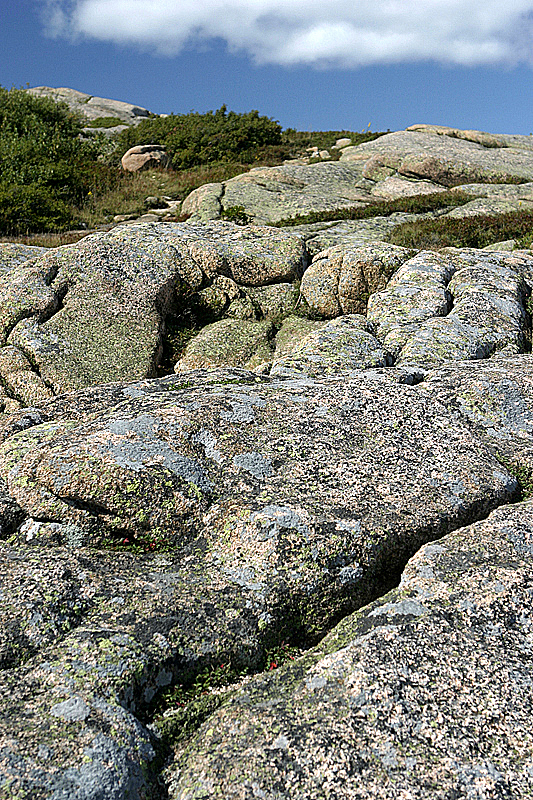 Acadia National Park, ME