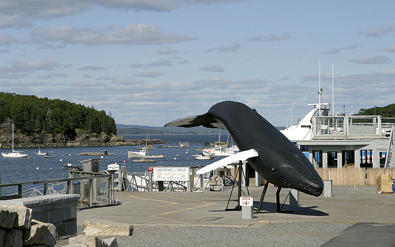 Harbor and whale-watching sculpure