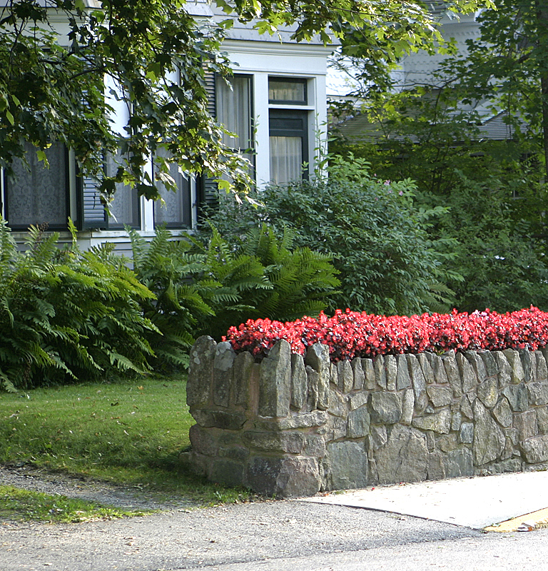 Wall-top planter