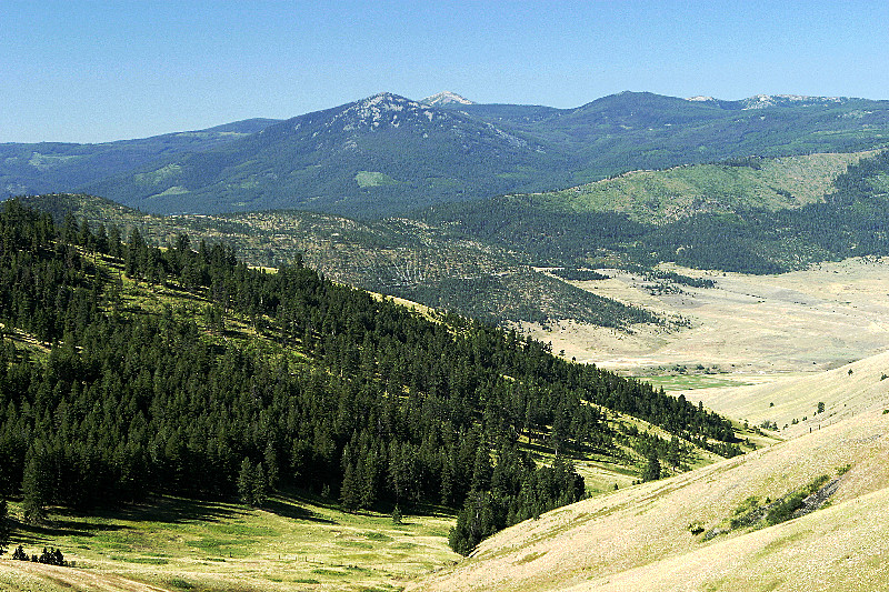 National Bison Range, MT