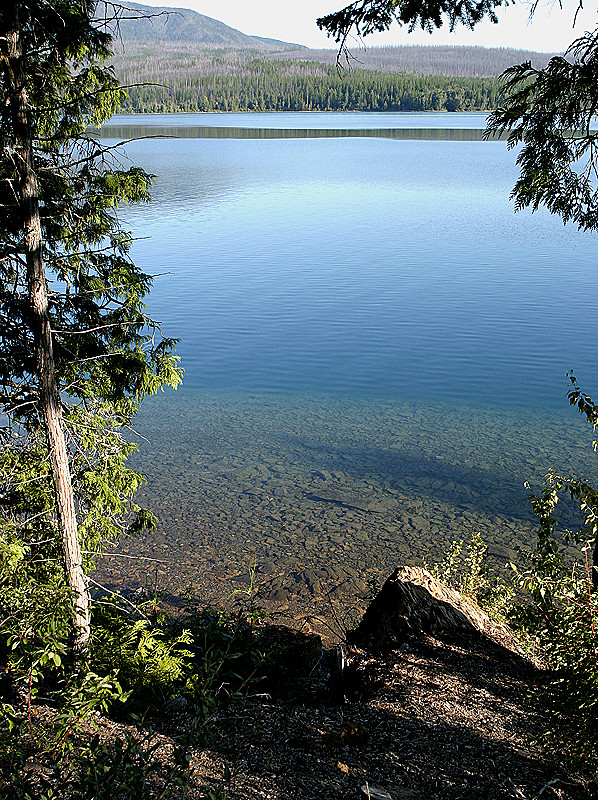 Look at how clear the water is!