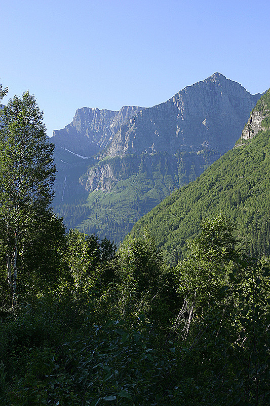 Going to the Sun Road