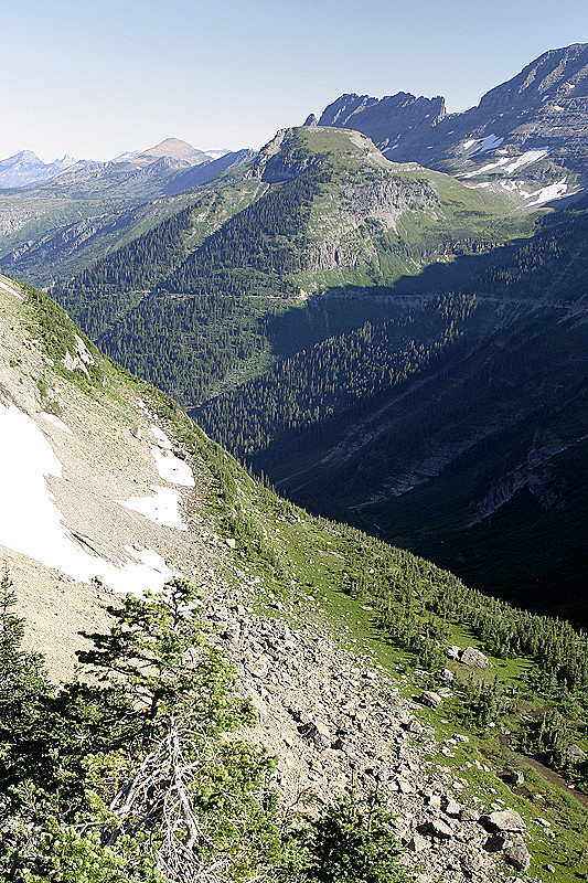 On the Continetal Divide; Logan Pass
