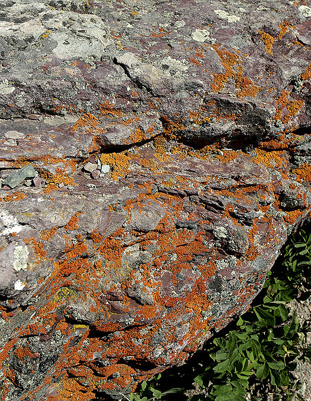 Outside Glacier National Park, MT