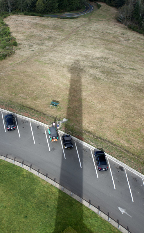 Looking down at the shadow it casts in the early morning light