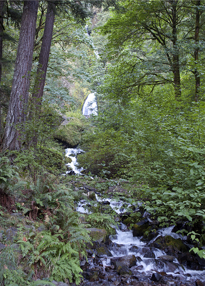 Lower Wahkeena Falls