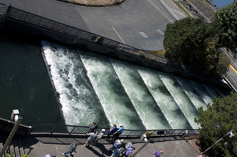 One of the ladders to help salmon (and other fish) get upstream to spawn