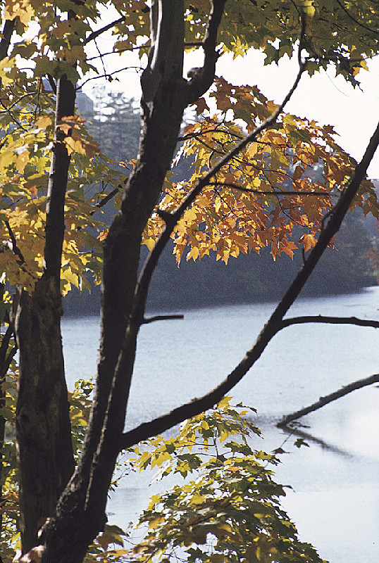 Autumn, Lake Beebee