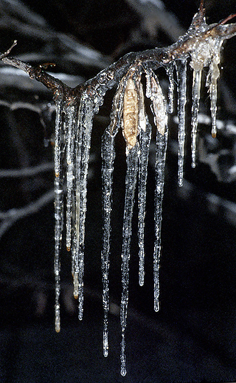 Ice Storm