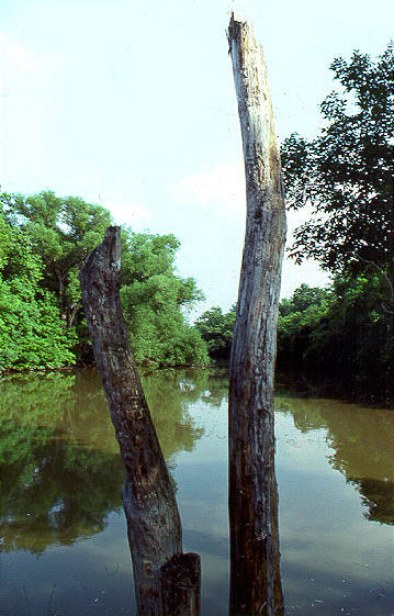 Des Plaines River, IL