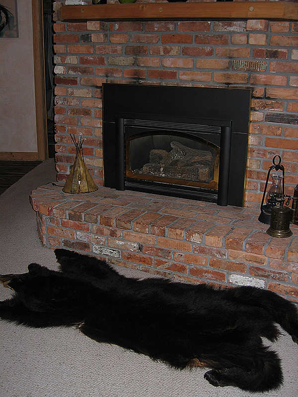 Honest to god bearskin rug...