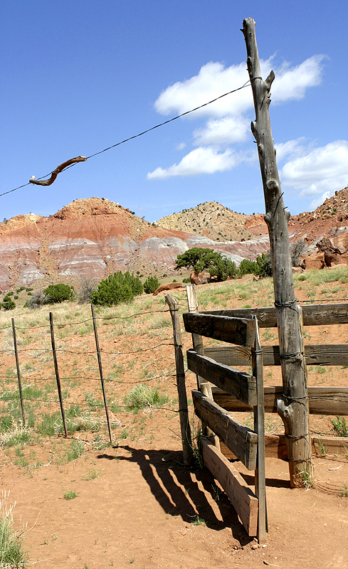 Fence and Gate