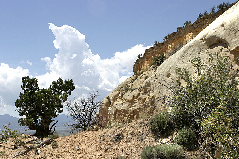 On the way up to Chimney Rocks