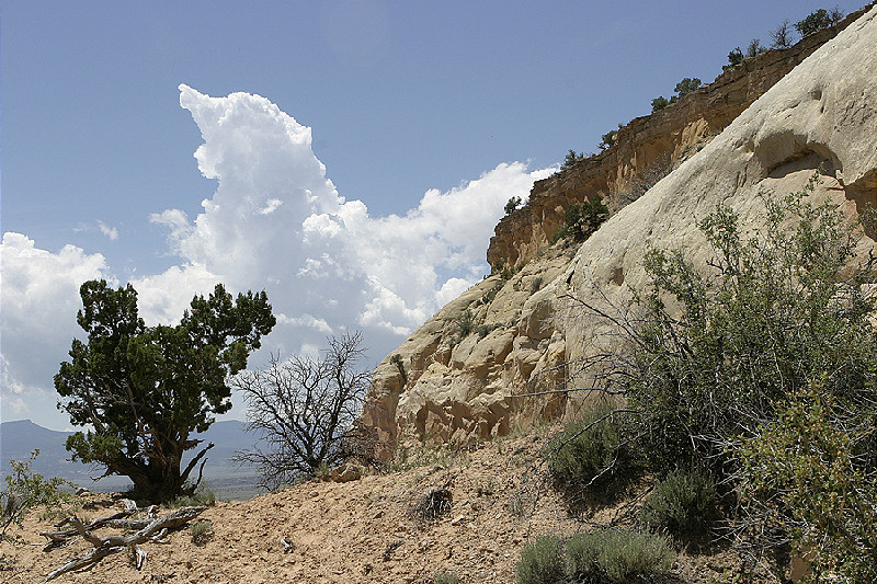 Ghost Ranch; Going Down